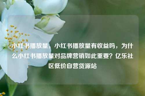 小红书播放量	，小红书播放量有收益吗，为什么小红书播放量对品牌营销如此重要？亿乐社区低价自营货源站  第1张