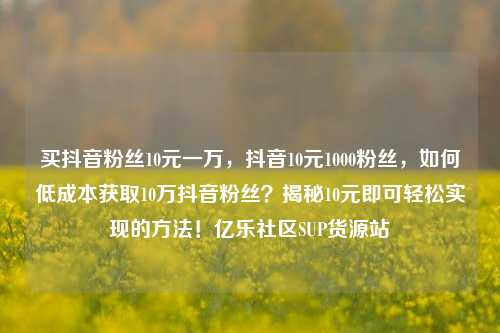 买抖音粉丝10元一万，抖音10元1000粉丝	，如何低成本获取10万抖音粉丝？揭秘10元即可轻松实现的方法！亿乐社区SUP货源站  第1张