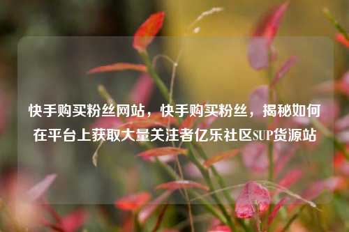 快手购买粉丝网站，快手购买粉丝	，揭秘如何在平台上获取大量关注者亿乐社区SUP货源站  第1张