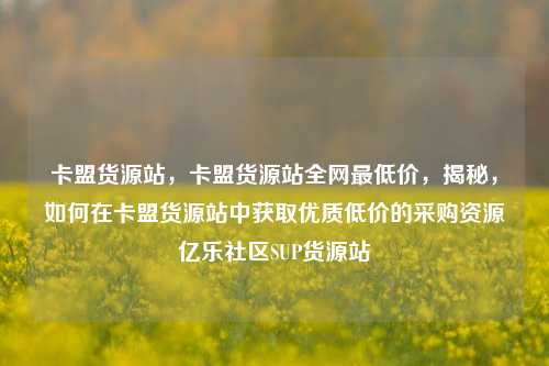卡盟货源站，卡盟货源站全网最低价	，揭秘，如何在卡盟货源站中获取优质低价的采购资源亿乐社区SUP货源站  第1张