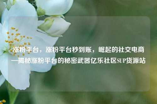 涨粉平台，涨粉平台秒到账，崛起的社交电商—揭秘涨粉平台的秘密武器亿乐社区SUP货源站  第1张
