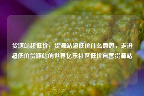 货源站超低价，货源站超低价什么意思	，走进超低价货源站的世界亿乐社区低价自营货源站  第1张