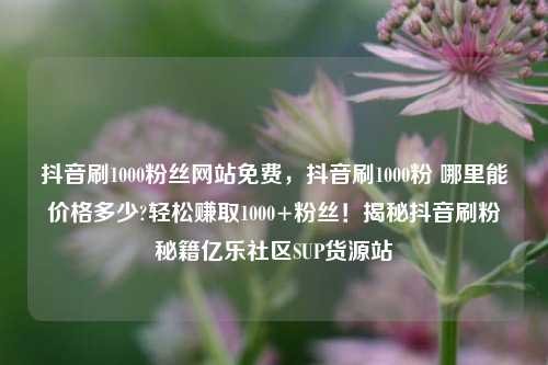抖音刷1000粉丝网站免费，抖音刷1000粉 哪里能价格多少?轻松赚取1000+粉丝！揭秘抖音刷粉秘籍亿乐社区SUP货源站  第1张