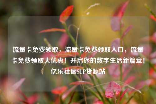 流量卡免费领取	，流量卡免费领取入口，流量卡免费领取大优惠！开启您的数字生活新篇章！亿乐社区SUP货源站  第1张