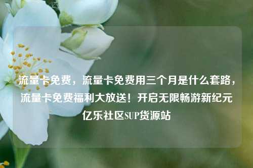 流量卡免费	，流量卡免费用三个月是什么套路，流量卡免费福利大放送！开启无限畅游新纪元亿乐社区SUP货源站  第1张