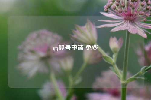 qq靓号申请 免费  第1张