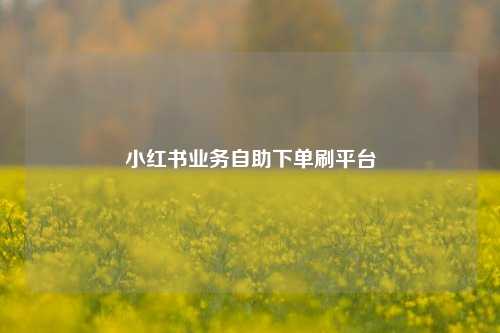 小红书业务自助下单刷平台  第1张