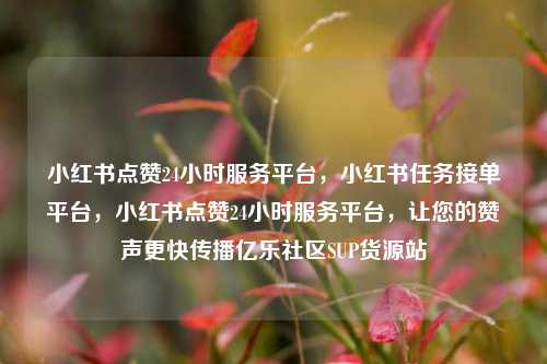 小红书点赞24小时服务平台，小红书任务接单平台	，小红书点赞24小时服务平台，让您的赞声更快传播亿乐社区SUP货源站  第1张