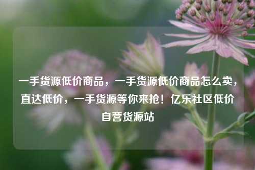 一手货源低价商品，一手货源低价商品怎么卖	，直达低价，一手货源等你来抢！亿乐社区低价自营货源站  第1张