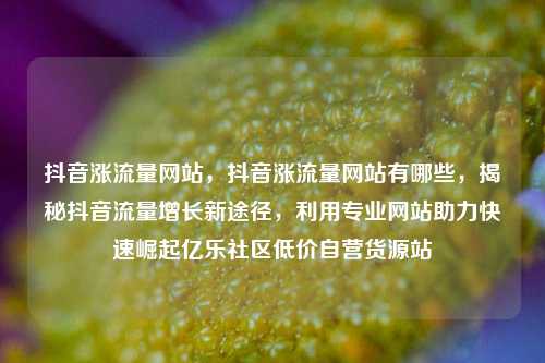 抖音涨流量网站	，抖音涨流量网站有哪些，揭秘抖音流量增长新途径，利用专业网站助力快速崛起亿乐社区低价自营货源站  第1张