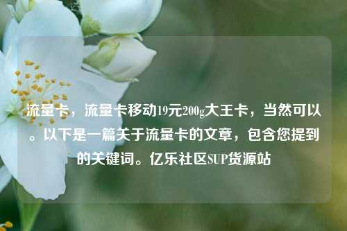 流量卡，流量卡移动19元200g大王卡	，当然可以	。以下是一篇关于流量卡的文章，包含您提到的关键词。亿乐社区SUP货源站  第1张