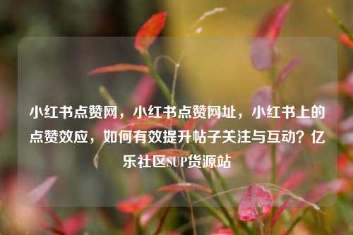 小红书点赞网	，小红书点赞网址，小红书上的点赞效应，如何有效提升帖子关注与互动？亿乐社区SUP货源站  第1张