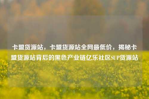 卡盟货源站，卡盟货源站全网最低价，揭秘卡盟货源站背后的黑色产业链亿乐社区SUP货源站  第1张