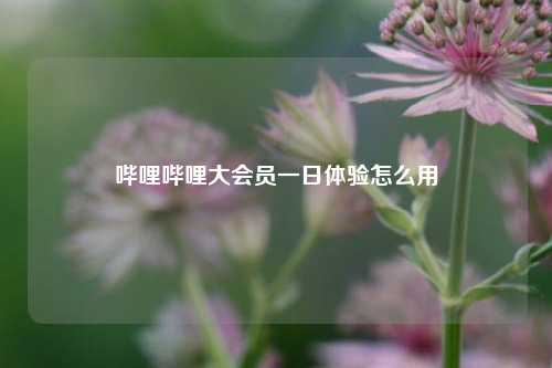 哔哩哔哩大会员一日体验怎么用  第1张