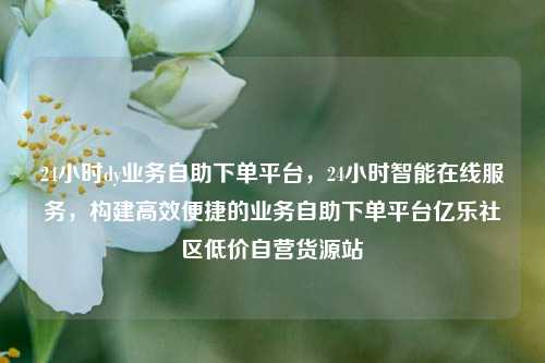 24小时dy业务自助下单平台，24小时智能在线服务，构建高效便捷的业务自助下单平台亿乐社区低价自营货源站  第1张