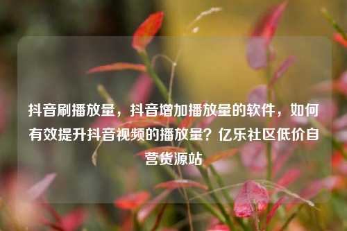 抖音刷播放量，抖音增加播放量的软件，如何有效提升抖音视频的播放量？亿乐社区低价自营货源站  第1张