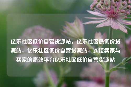 亿乐社区低价自营货源站，亿乐社区最低价货源站，亿乐社区低价自营货源站，连接卖家与买家的高效平台亿乐社区低价自营货源站  第1张