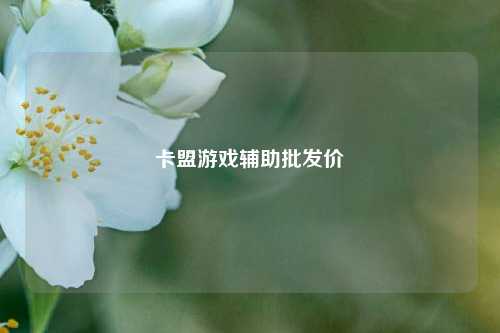 卡盟游戏辅助批发价  第1张