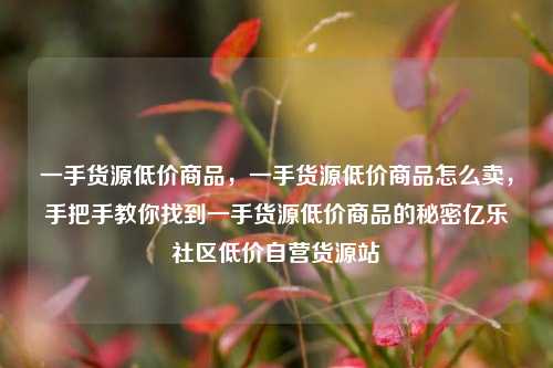 一手货源低价商品，一手货源低价商品怎么卖	，手把手教你找到一手货源低价商品的秘密亿乐社区低价自营货源站  第1张