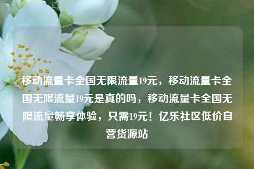 移动流量卡全国无限流量19元，移动流量卡全国无限流量19元是真的吗，移动流量卡全国无限流量畅享体验	，只需19元！亿乐社区低价自营货源站  第1张