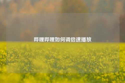 哔哩哔哩如何调倍速播放  第1张