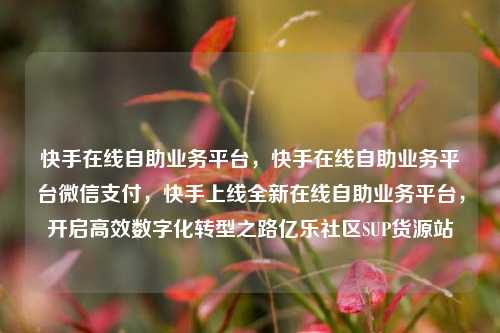 快手在线自助业务平台，快手在线自助业务平台微信支付，快手上线全新在线自助业务平台	，开启高效数字化转型之路亿乐社区SUP货源站  第1张