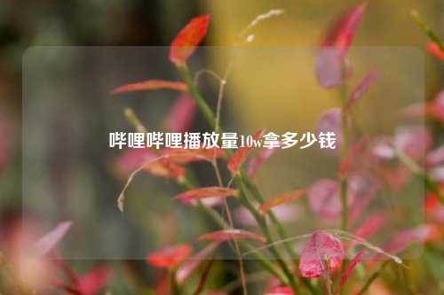 哔哩哔哩播放量10w拿多少钱  第1张