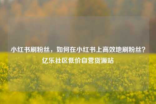 小红书刷粉丝，如何在小红书上高效地刷粉丝？亿乐社区低价自营货源站  第1张