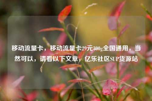 移动流量卡，移动流量卡29元300g全国通用，当然可以	，请看以下文章，亿乐社区SUP货源站  第1张