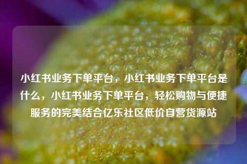 小红书业务下单平台，小红书业务下单平台是什么，小红书业务下单平台	，轻松购物与便捷服务的完美结合亿乐社区低价自营货源站  第1张