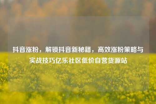 抖音涨粉，解锁抖音新秘籍，高效涨粉策略与实战技巧亿乐社区低价自营货源站  第1张