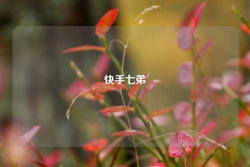 快手七弟  第1张