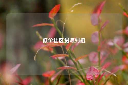 低价社区货源对接  第1张