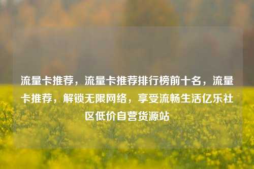 流量卡推荐，流量卡推荐排行榜前十名	，流量卡推荐，解锁无限网络，享受流畅生活亿乐社区低价自营货源站  第1张