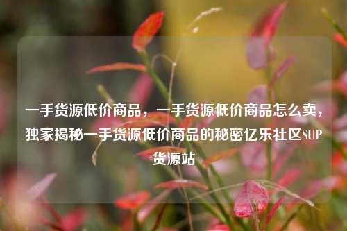 一手货源低价商品，一手货源低价商品怎么卖	，独家揭秘一手货源低价商品的秘密亿乐社区SUP货源站  第1张