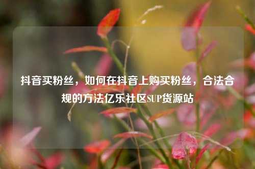 抖音买粉丝	，如何在抖音上购买粉丝，合法合规的方法亿乐社区SUP货源站  第1张