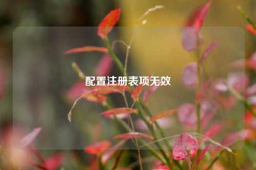 配置注册表项无效  第1张