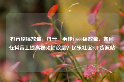 抖音刷播放量，抖音一毛钱10000播放量，如何在抖音上提高视频播放量？亿乐社区SUP货源站  第1张