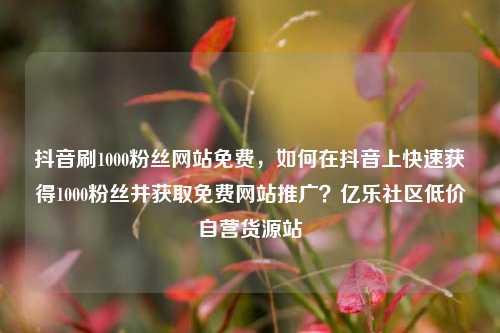 抖音刷1000粉丝网站免费，如何在抖音上快速获得1000粉丝并获取免费网站推广？亿乐社区低价自营货源站  第1张