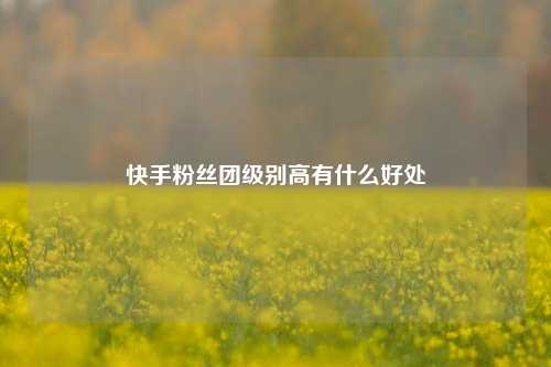 快手粉丝团级别高有什么好处  第1张