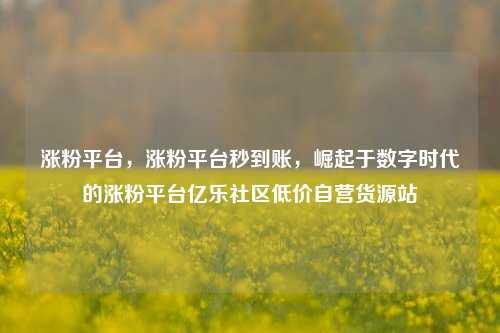 涨粉平台，涨粉平台秒到账，崛起于数字时代的涨粉平台亿乐社区低价自营货源站  第1张