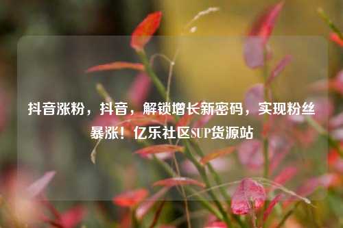 抖音涨粉	，抖音，解锁增长新密码，实现粉丝暴涨！亿乐社区SUP货源站  第1张