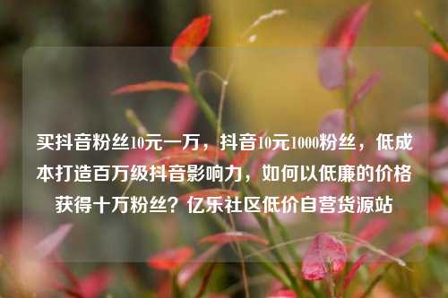 买抖音粉丝10元一万	，抖音10元1000粉丝，低成本打造百万级抖音影响力，如何以低廉的价格获得十万粉丝？亿乐社区低价自营货源站  第1张
