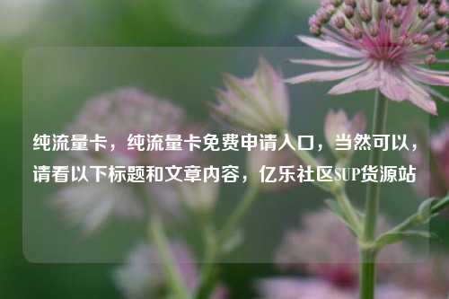 纯流量卡	，纯流量卡免费申请入口，当然可以，请看以下标题和文章内容	，亿乐社区SUP货源站  第1张