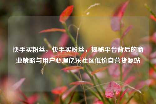 快手买粉丝	，快手买粉丝，揭秘平台背后的商业策略与用户心理亿乐社区低价自营货源站  第1张