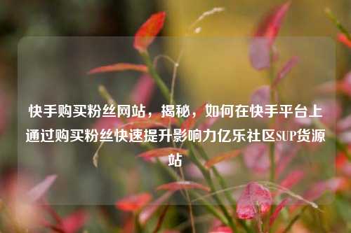 快手购买粉丝网站，揭秘	，如何在快手平台上通过购买粉丝快速提升影响力亿乐社区SUP货源站  第1张