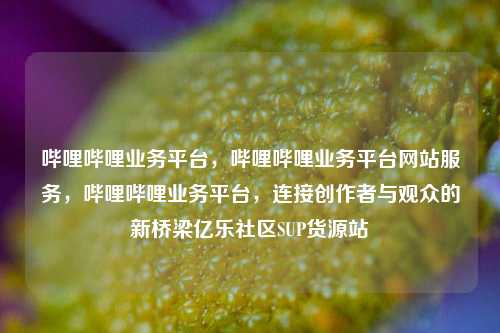 哔哩哔哩业务平台，哔哩哔哩业务平台网站服务，哔哩哔哩业务平台，连接创作者与观众的新桥梁亿乐社区SUP货源站  第1张