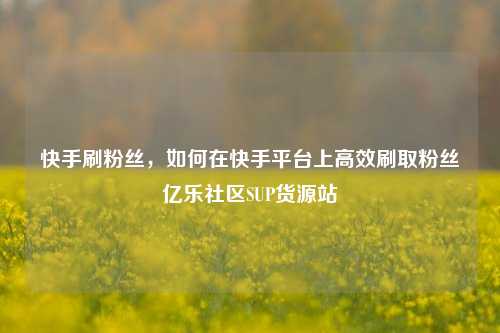 快手刷粉丝，如何在快手平台上高效刷取粉丝亿乐社区SUP货源站  第1张