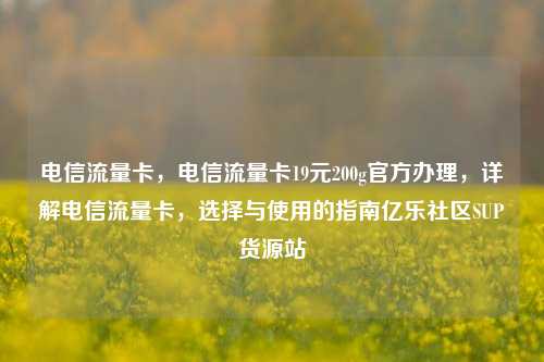 电信流量卡	，电信流量卡19元200g官方办理，详解电信流量卡，选择与使用的指南亿乐社区SUP货源站  第1张