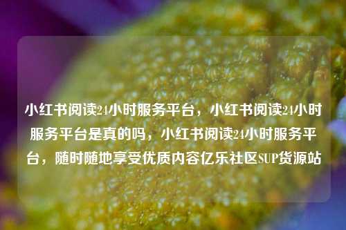 小红书阅读24小时服务平台	，小红书阅读24小时服务平台是真的吗，小红书阅读24小时服务平台，随时随地享受优质内容亿乐社区SUP货源站  第1张